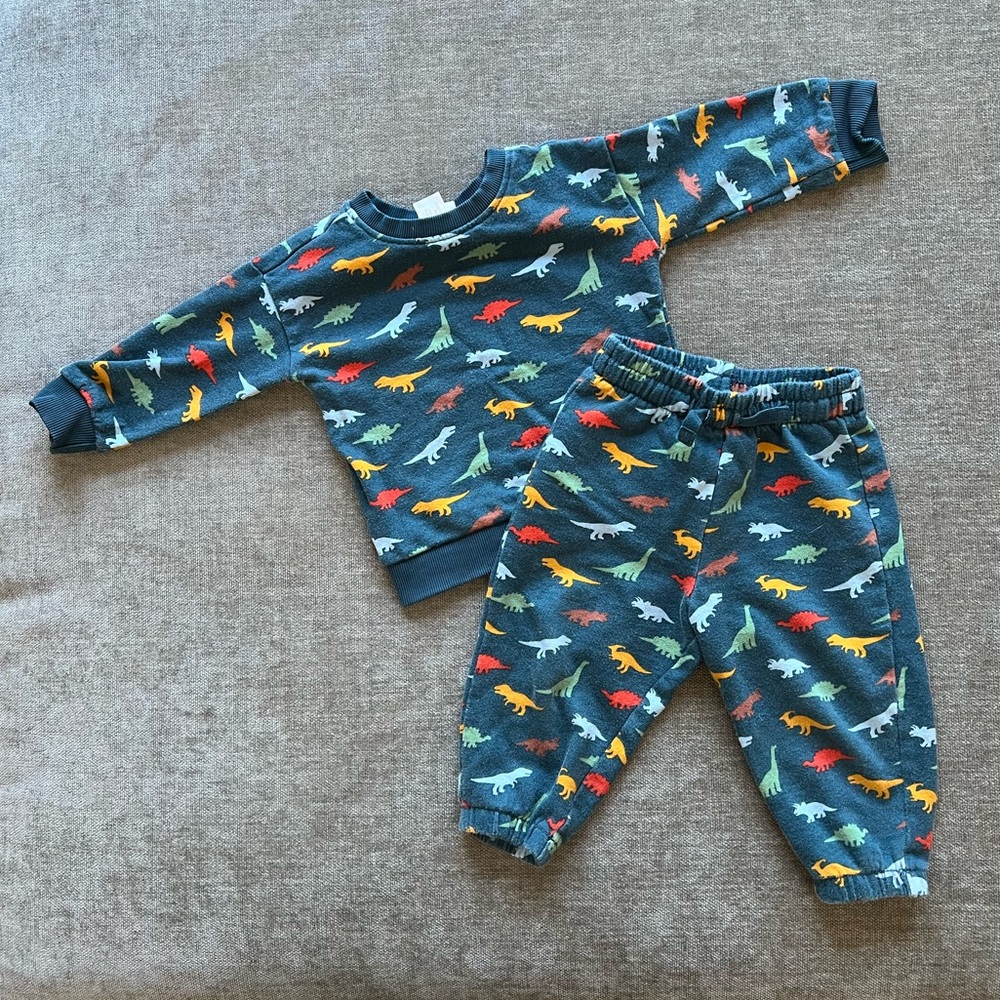 Hanna Andersson / Terry Sweatshirt & Sweatpants Set